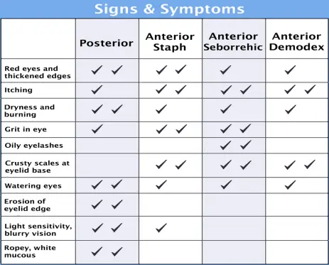 blepharitis-table-1