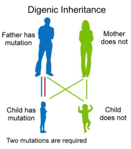 digenic-inheritance-265x300